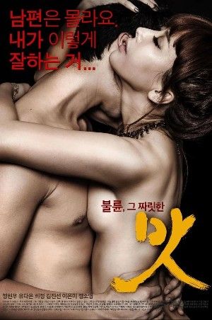 [18＋] Juicy Affair 2014 Korean Movie download full movie